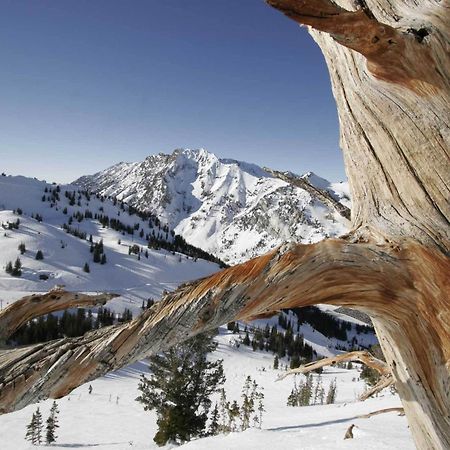 Alta'S Rustler Lodge Εξωτερικό φωτογραφία
